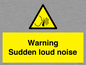 WV7774: Warning Sudden loud noise