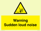WV7774: Warning Sudden loud noise