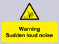 WV7774: Warning Sudden loud noise