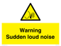 WV7774: Warning Sudden loud noise