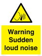WV7774: Warning Sudden loud noise