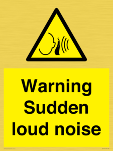WV7774: Warning Sudden loud noise