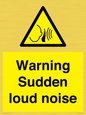 WV7774: Warning Sudden loud noise