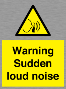 WV7774: Warning Sudden loud noise
