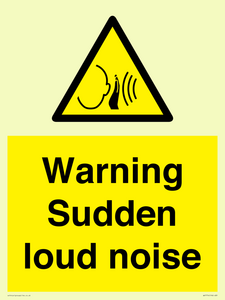 WV7774: Warning Sudden loud noise
