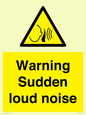 WV7774: Warning Sudden loud noise