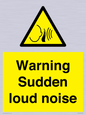 WV7774: Warning Sudden loud noise