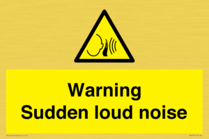 WV7774: Warning Sudden loud noise