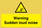 WV7774: Warning Sudden loud noise