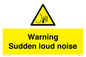 WV7774: Warning Sudden loud noise