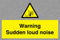 WV7774: Warning Sudden loud noise