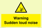 WV7774: Warning Sudden loud noise