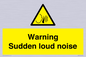 WV7774: Warning Sudden loud noise