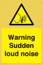 WV7774: Warning Sudden loud noise