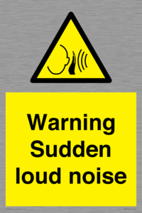 WV7774: Warning Sudden loud noise