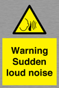 WV7774: Warning Sudden loud noise