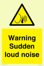 WV7774: Warning Sudden loud noise