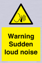 WV7774: Warning Sudden loud noise