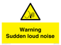 WV7774: Warning Sudden loud noise
