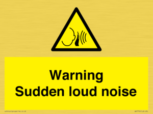 WV7774: Warning Sudden loud noise