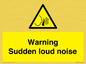 WV7774: Warning Sudden loud noise