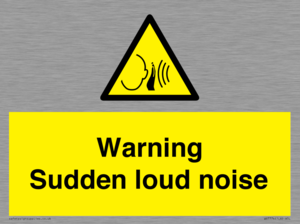 WV7774: Warning Sudden loud noise