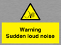 WV7774: Warning Sudden loud noise