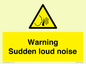 WV7774: Warning Sudden loud noise