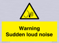 WV7774: Warning Sudden loud noise