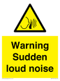 WV7774: Warning Sudden loud noise
