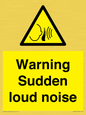 WV7774: Warning Sudden loud noise