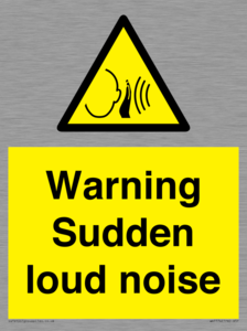 WV7774: Warning Sudden loud noise