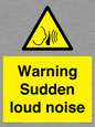 WV7774: Warning Sudden loud noise