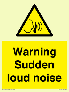 WV7774: Warning Sudden loud noise