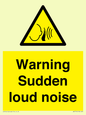 WV7774: Warning Sudden loud noise