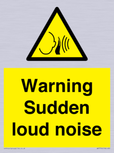WV7774: Warning Sudden loud noise
