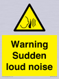WV7774: Warning Sudden loud noise