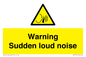 WV7774: Warning Sudden loud noise