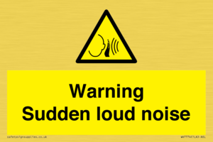 WV7774: Warning Sudden loud noise
