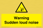 WV7774: Warning Sudden loud noise