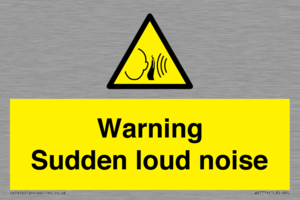 WV7774: Warning Sudden loud noise