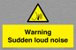 WV7774: Warning Sudden loud noise