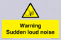 WV7774: Warning Sudden loud noise
