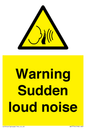 WV7774: Warning Sudden loud noise