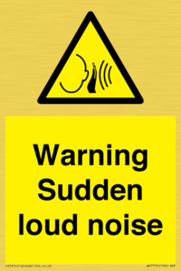 WV7774: Warning Sudden loud noise