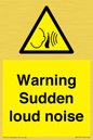 WV7774: Warning Sudden loud noise