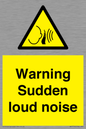 WV7774: Warning Sudden loud noise