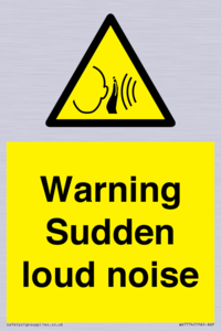 WV7774: Warning Sudden loud noise