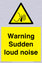 WV7774: Warning Sudden loud noise