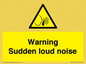WV7774: Warning Sudden loud noise